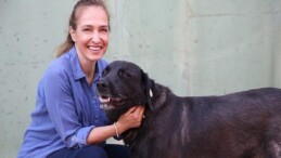 1 yılda 40 bin can dosta şefkat eli uzandı