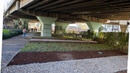 80 futbol alanı büyüklüğündeki alanda dönüşüm tamam