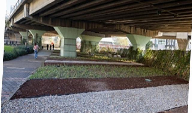 80 futbol alanı büyüklüğündeki alanda dönüşüm tamam