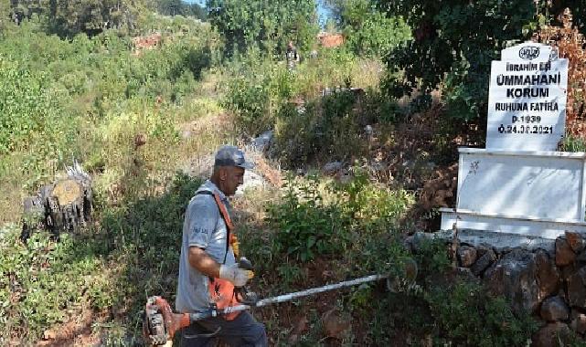 Alanya Cikcilli Mezarlığı’nın kapasitesi artırılıyor