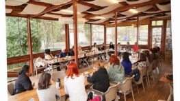 Ayvalık Belediye Başkanı Mesut Ergin: “Kentimizin geleceğini bayanlarla birlikte şekillendiriyoruz”