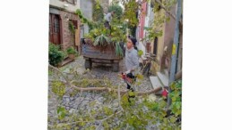 Ayvalık’ta Kışa Hazırlık…