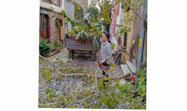 Ayvalık’ta Kışa Hazırlık…