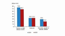 Bitkisel Üretim İstatistikleri, 2025