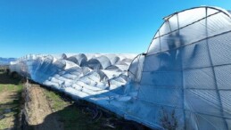 Büyükşehir Belediyesi seraları ziyan gören çiftçinin yanında