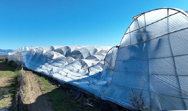 Büyükşehir Belediyesi seraları ziyan gören çiftçinin yanında