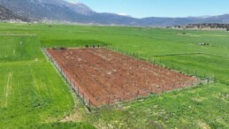 Büyükşehir Belediyesi’nden ziraî sulamaya büyük dayanak