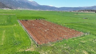 Büyükşehir Belediyesi’nden ziraî sulamaya büyük dayanak