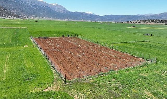 Büyükşehir Belediyesi’nden ziraî sulamaya büyük dayanak