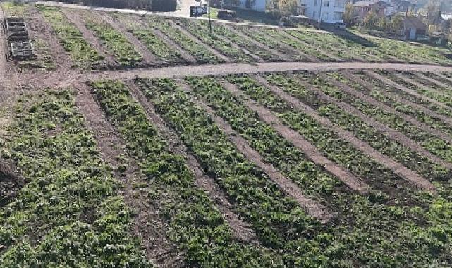 Büyükşehir’den Gölcük’e yeni mezarlık alanları