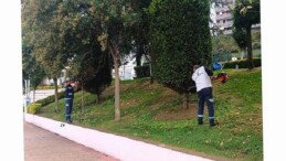 Büyükşehir’den yeşil alanlara özel bakım
