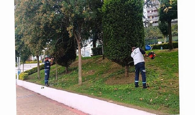 Büyükşehir’den yeşil alanlara özel bakım