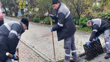Canik Belediyesi Takımları Alanda: Mazgallar Tek Tek Temizleniyor