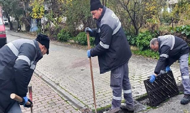 Canik Belediyesi Takımları Alanda: Mazgallar Tek Tek Temizleniyor