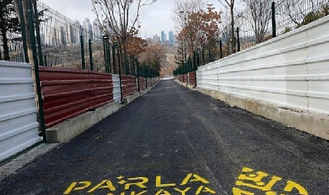 Çankaya Belediyesi Barınak Kapasitesini 1.500’e Çıkardı