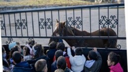 Çocuklara hayvan sevgisi kazandırılıyor