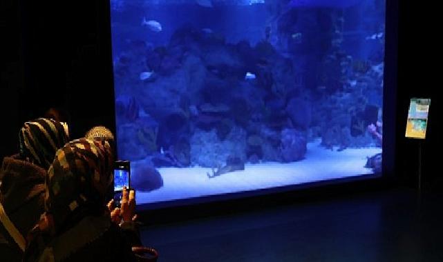 Engelliler, su altı dalışı yaparak yeteneklerini sergiledi