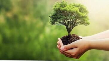 Fuzul’den 2025 çalışanı ismine Çanakkale ve Şanlıurfa’ya 2025 fidan bağışı