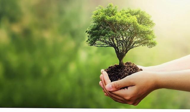 Fuzul’den 2025 çalışanı ismine Çanakkale ve Şanlıurfa’ya 2025 fidan bağışı