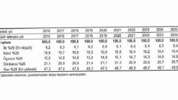 Gelir Dağılımı İstatistikleri, 2025