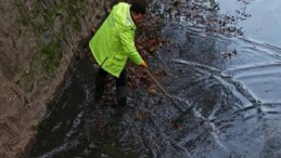 Gemlik Belediyesi Tüm Müdürlükleriyle Alanda
