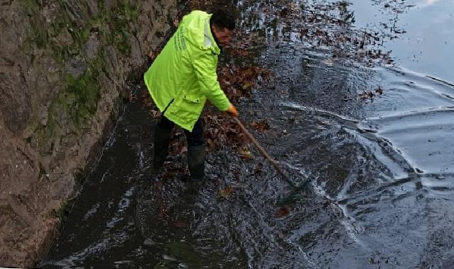 Gemlik Belediyesi Tüm Müdürlükleriyle Alanda