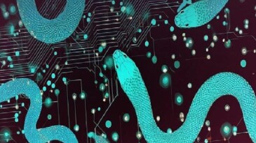 Görünüşte oyun gerçekte siber casusluk