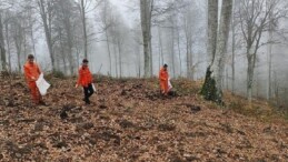 Harmancık’ta yanan ormanlara tohumlar serpiliyor