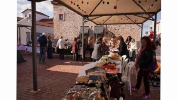 Her Şey Ayvalık Fidanları İçin