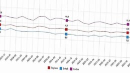İşgücü İstatistikleri, Kasım 2025