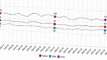 İşgücü İstatistikleri, Kasım 2025