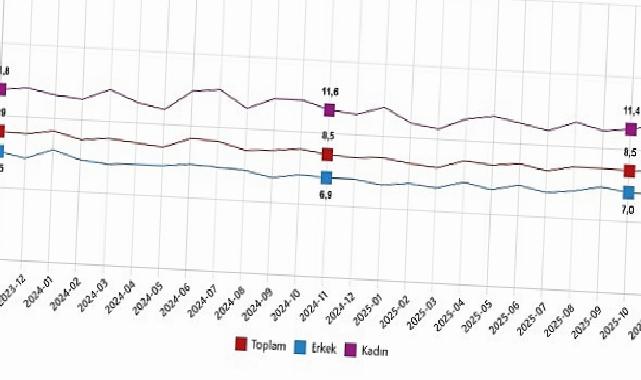 İşgücü İstatistikleri, Kasım 2025