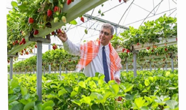 İzmir Büyükşehir Belediyesi üreticiye takviyesini sürdürdü