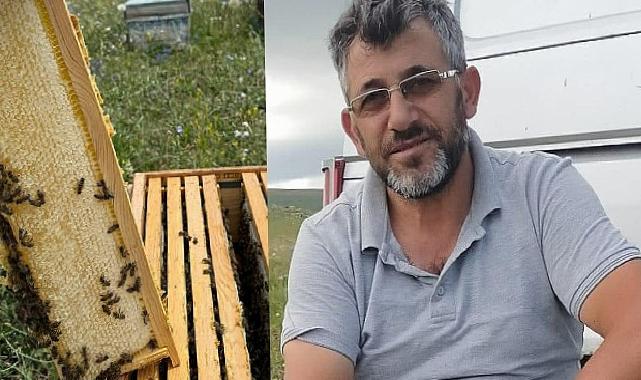 Kars platosunda tabiata saygılı arıcılık