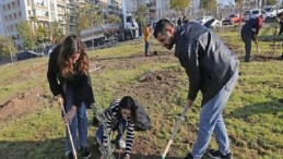 Karşıyaka’da zeytin fidanları toprakla buluştu