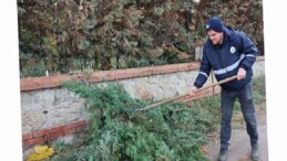 Kartepe’de Mezarlıklara Nizamlı Bakım