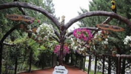 Keçiören’de Çağdaş Serada Üretilen Çiçekler İlçeyi Süslüyor