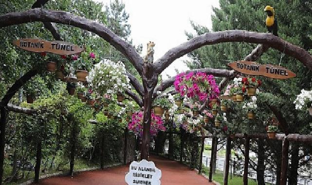 Keçiören’de Çağdaş Serada Üretilen Çiçekler İlçeyi Süslüyor