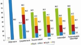 Küçük ve Orta Büyüklükteki Teşebbüs İstatistikleri, 2024