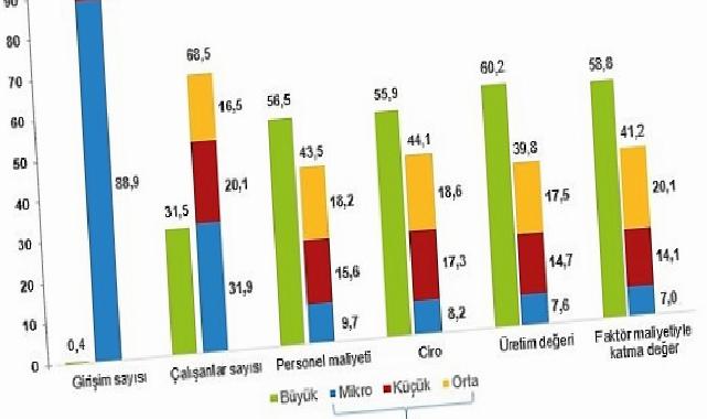 Küçük ve Orta Büyüklükteki Teşebbüs İstatistikleri, 2024