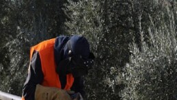 Mahalle Muhtarı Ulu: Hasret Liderimizin Hizmetlerinden Çok Mutluyuz