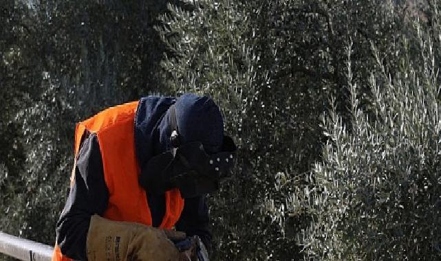 Mahalle Muhtarı Ulu: Hasret Liderimizin Hizmetlerinden Çok Mutluyuz