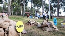 Orman ekosisteminde atıkların tehlikesi uygulamalı gösterildi
