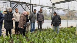 Saygınlar Kulübü’nün ‘tarım’ keyfi