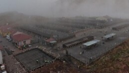 Sokak Hayvanları İçin Çağdaş, Sağlıklı ve Doğal Ömür Projesi Başladı