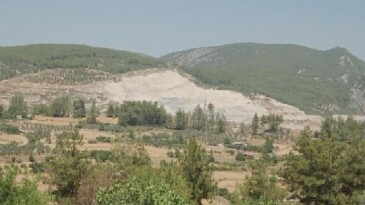 Tabiat İçin Sorumluluk Hepimizde: TEMA Vakfı 2025’in Etraf Olaylarını Kıymetlendirdi