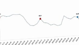Tarım Eserleri Üretici Fiyat Endeksi, Kasım 2025