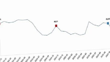 Tarım Eserleri Üretici Fiyat Endeksi, Kasım 2025