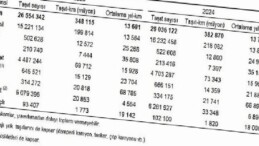 Taşıt-kilometre İstatistikleri, 2024