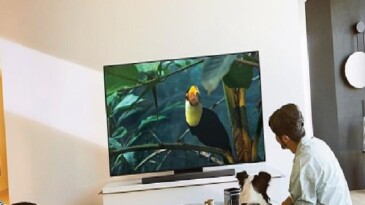 TechRadar 2025 yılında Samsung S95F OLED TV’yi ‘Yılın TV’si seçti